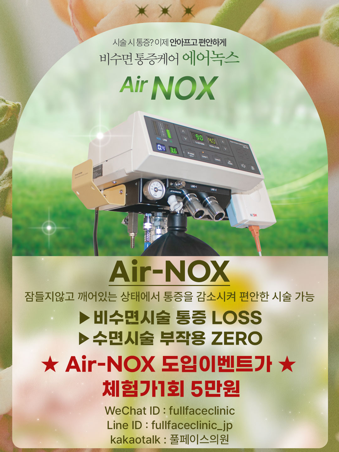 팝업