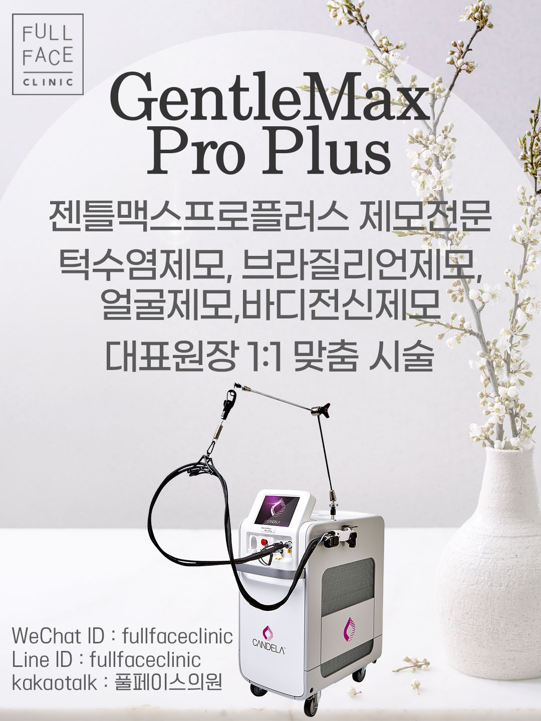 팝업
