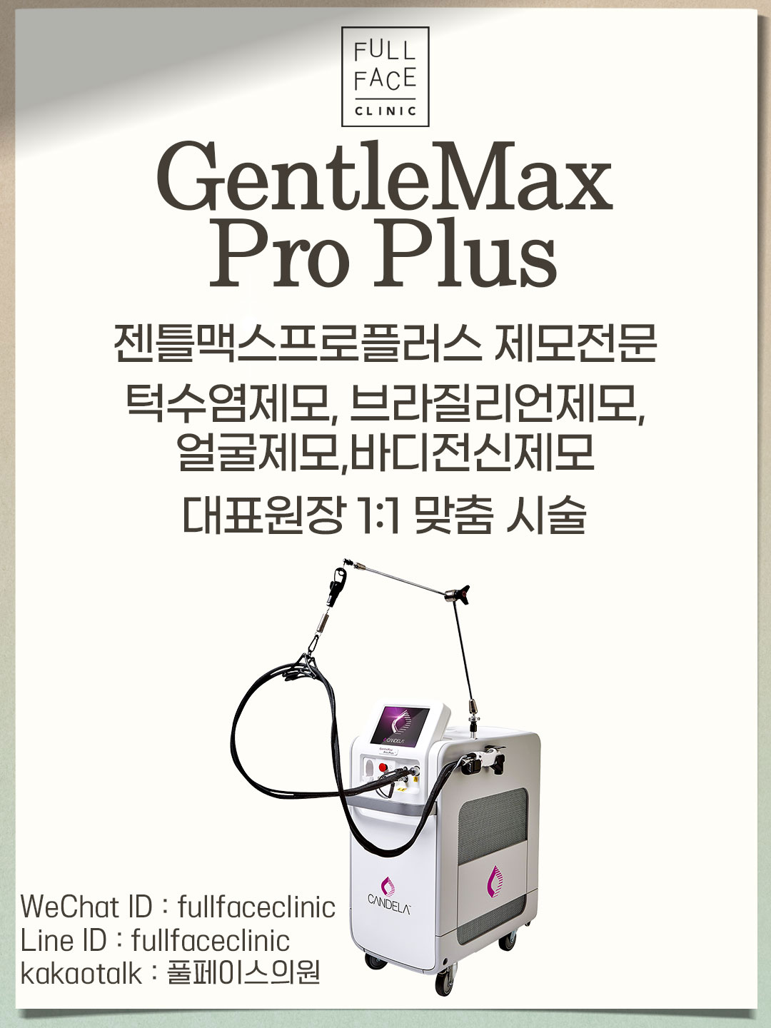 팝업